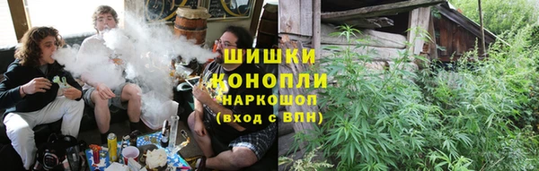 дживик Абинск