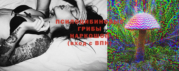 дживик Абинск