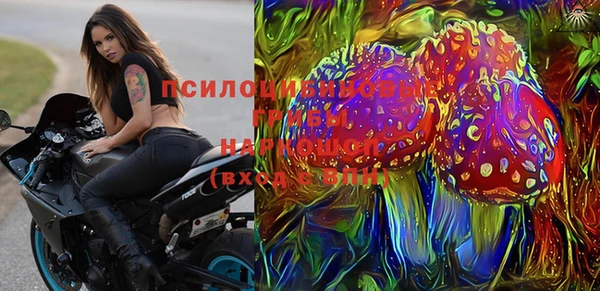 дживик Абинск