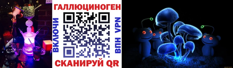 купить   Духовщина  Галлюциногенные грибы GOLDEN TEACHER 
